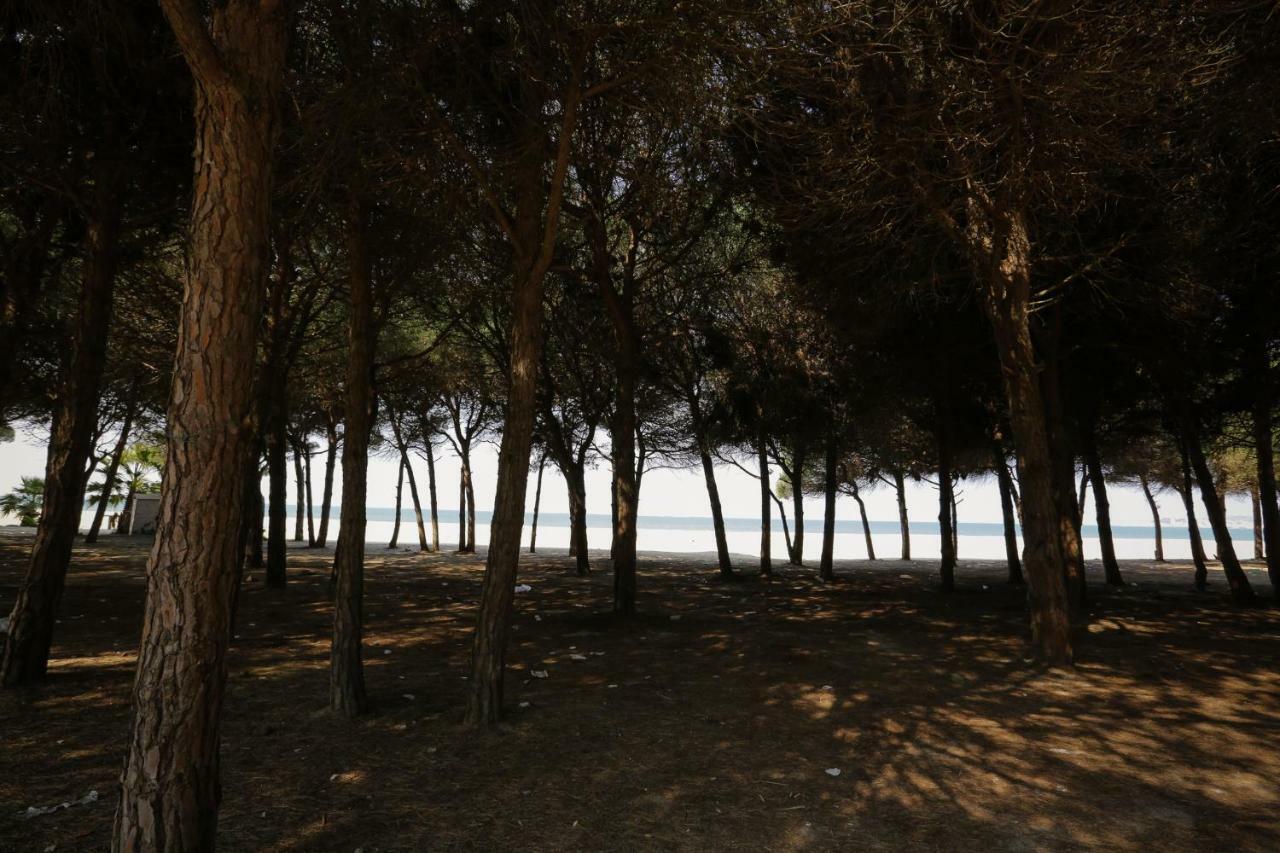 Pine-Tree Apt W/ Private Garden 50 M From The Sea Golem  Exteriér fotografie