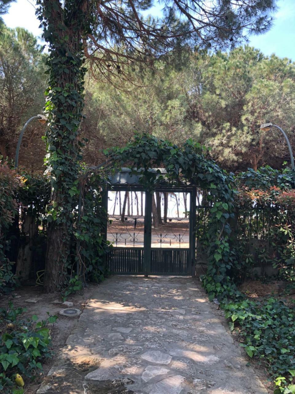 Pine-Tree Apt W/ Private Garden 50 M From The Sea Golem  Exteriér fotografie