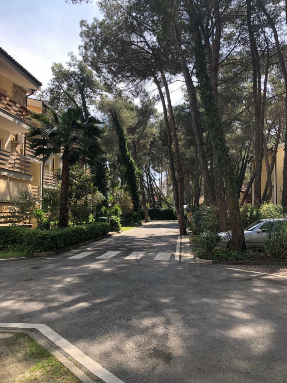 Pine-Tree Apt W/ Private Garden 50 M From The Sea Golem  Exteriér fotografie