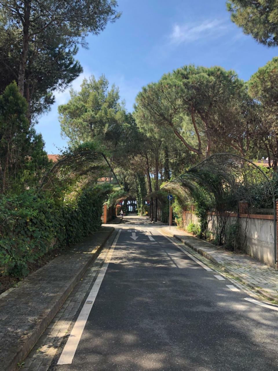 Pine-Tree Apt W/ Private Garden 50 M From The Sea Golem  Exteriér fotografie